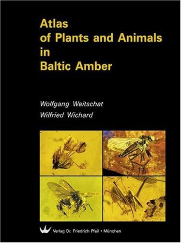 Beispielbild fr Atlas of Plants and Animals in Baltic Amber zum Verkauf von medimops