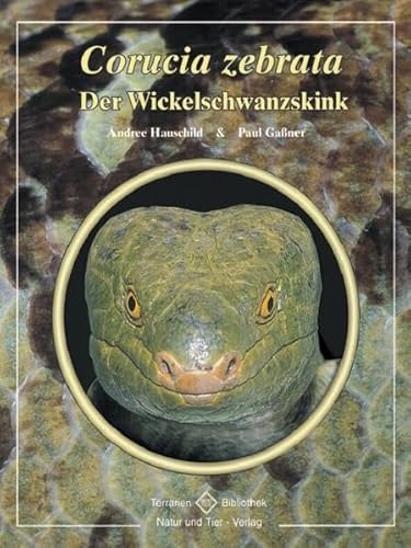 Imagen de archivo de Der Wickelschwanzskink a la venta por GF Books, Inc.