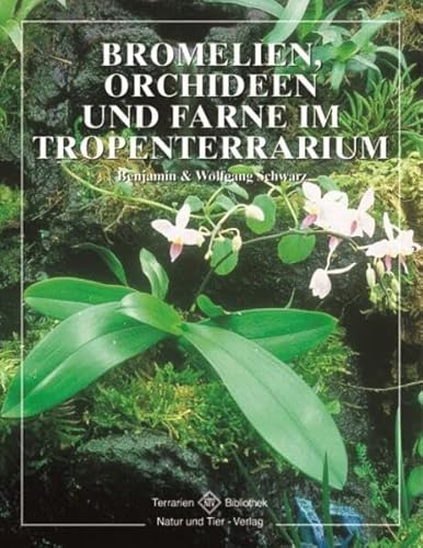 Beispielbild fr Bromelien, Orchideen und Farne im Tropenterrarium zum Verkauf von medimops