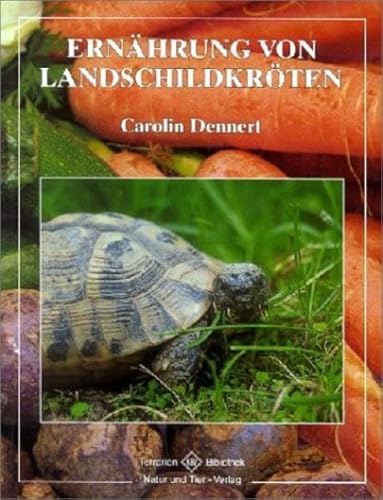 Beispielbild fr Ernhrung von Landschildkrten zum Verkauf von medimops