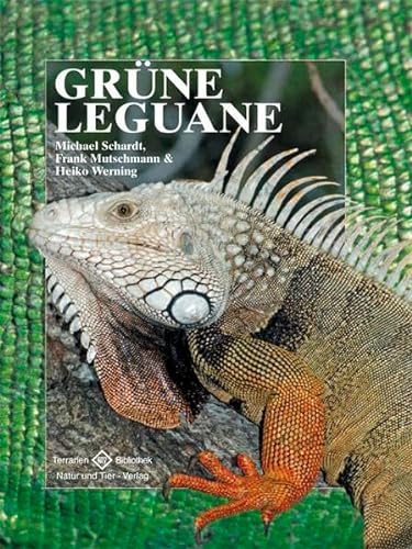 Gruene Leguane