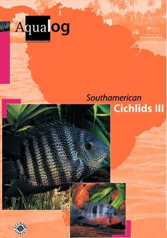 Stock image for Aqualog South American Cichlids III for sale by Pieuler Store