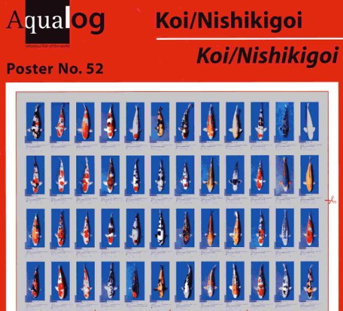 Imagen de archivo de Aqualog Fold Poster: Koi - Nishikigoi a la venta por GF Books, Inc.