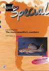 Stock image for Aqualog Special - Loricaridae "The Most Beautiful L-numbers" for sale by WorldofBooks