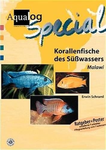 Beispielbild fr Korallenfische des Sü wassers. Malawi zum Verkauf von WorldofBooks