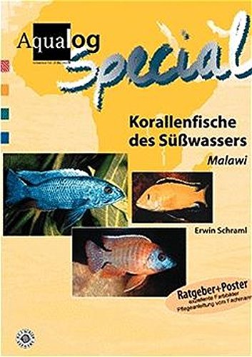 Stock image for Korallenfische des Süwassers. Malawi for sale by WorldofBooks