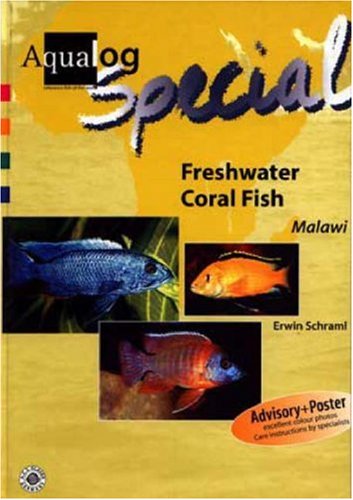 Beispielbild fr Aqualog Special - Freshwater Coral Fish zum Verkauf von WorldofBooks