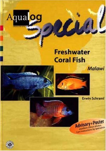 Stock image for Aqualog Special - Freshwater Coral Fish for sale by WorldofBooks