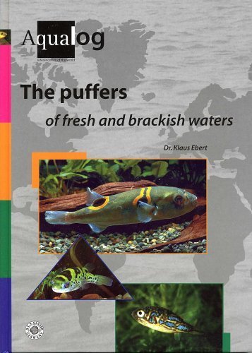 9783931702601: AQUALOG The Puffers of Fresh and Brackish Waters