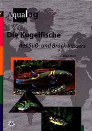 9783931702618: Die Kugelfische des S- und Brackwassers