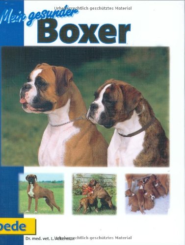 Stock image for Mein gesunder Boxer for sale by medimops
