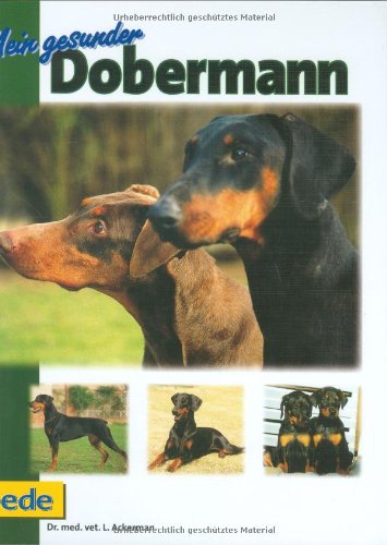 Stock image for Mein gesunder Dobermann for sale by medimops