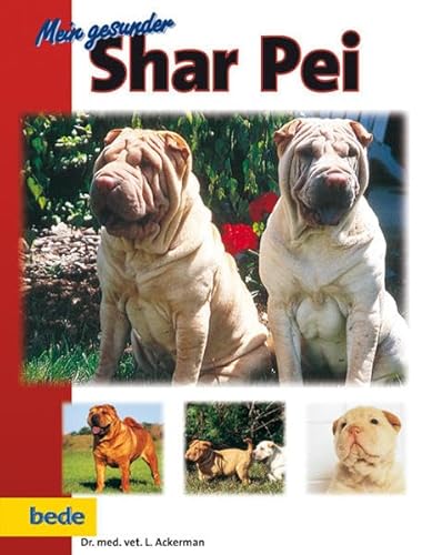 Stock image for Mein gesunder Shar Pei for sale by medimops