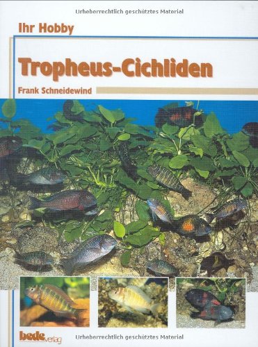 Stock image for Tropheus-Cichliden, Ihr Hobby for sale by Ammareal