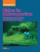 Stock image for Diskus im Naturaquarium, Ratgeber for sale by medimops