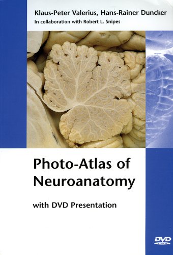 Imagen de archivo de Photo-Atlas of Neuroanatomy with DVD Presentation (Book/DVD set) a la venta por Revaluation Books