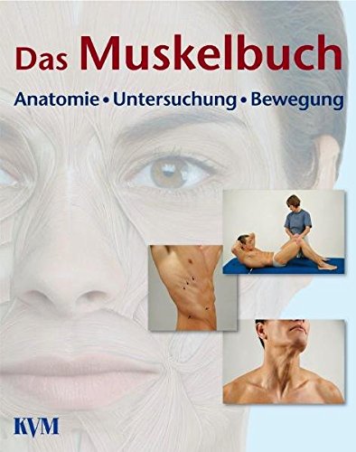 Imagen de archivo de Das Muskelbuch. Funktionelle Darstellung der Muskeln des Bewegungsapparates a la venta por medimops