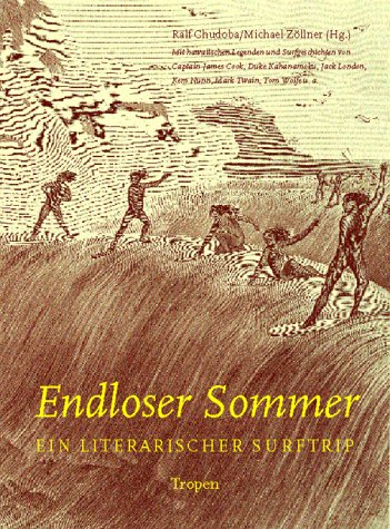 Beispielbild fr Endloser Sommer / Ein literarischer Surftrip zum Verkauf von Osterholzer Buch-Antiquariat