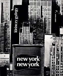 Imagen de archivo de New York New York a la venta por RZabasBooks