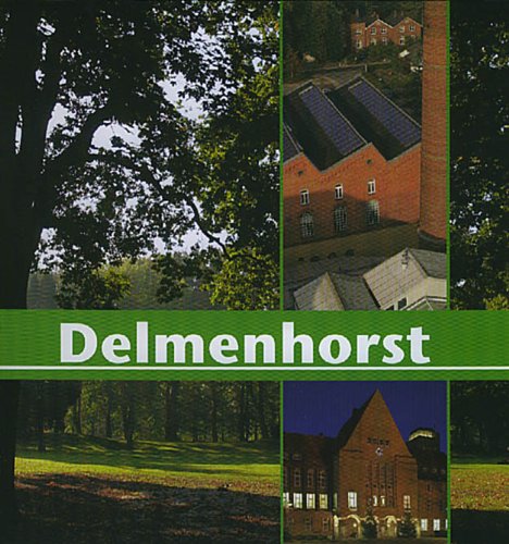 Beispielbild fr Delmenhorst: Eine Stadt im Grnen zum Verkauf von medimops