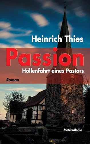 Stock image for Passion: Hllenfahrt eines Pastors for sale by medimops