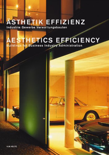 Ästhetik Effizienz/ Aesthetics efficiency. Industrie Gewerbe, Verwaltungsbauten/ Buildings for Business, Industrie, Administration. - Nelte, H. M.