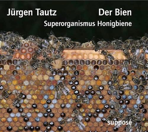 Stock image for Der Bien: Superorganismus Honigbiene for sale by medimops