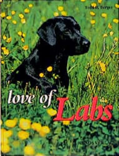 Beispielbild fr Love of Labs zum Verkauf von medimops