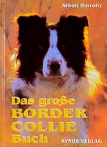 Imagen de archivo de Das groe Border Collie Buch [Gebundene Ausgabe] schottische Schferhunderasse Hundesportarten Agility Flyball Obedience Htetrieb Hundeverhalten Hundebesitzer Border Collies leisten Hten Schafherde Rinder Gnse Enten Hhner Hundesportarten Agility Flyball Obedience Alison Hornsby (Autor), Dieter Fleig (bersetzer), Helga Fleig (bersetzer) a la venta por BUCHSERVICE / ANTIQUARIAT Lars Lutzer