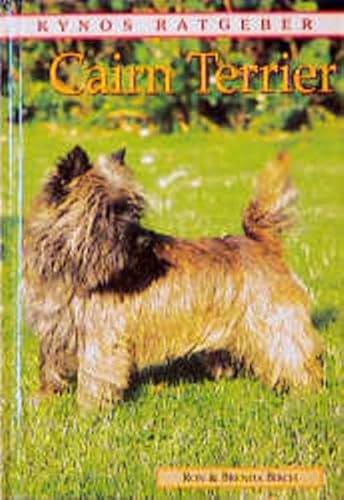 Cairn Terrier