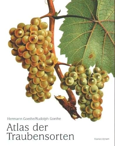 Imagen de archivo de Atlas der Traubensorten a la venta por medimops
