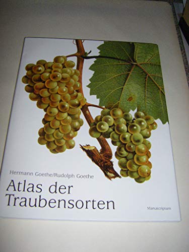 9783933497680: Atlas der Traubensorten