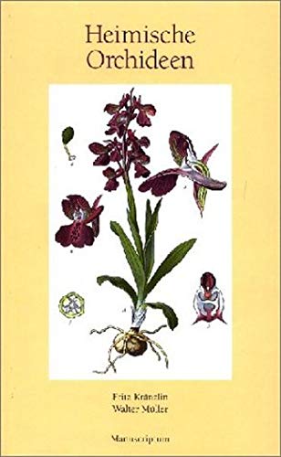 Beispielbild fr Heimische Orchideen zum Verkauf von medimops