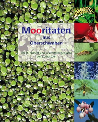 Mooritaten aus Oberschwaben - Lothar Zier