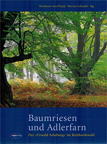 Baumriesen und Adlerfarn. Der Urwald Sababurg im Reinhardswald.