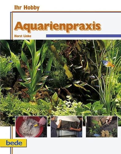 Imagen de archivo de Aquarienpraxis, Ihr Hobby a la venta por medimops