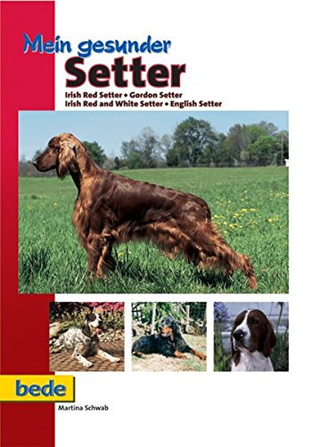 Stock image for Mein gesunder Setter: Irish Red Setter - Gordon Setter -Irish Red and White Setter - English Setter for sale by medimops