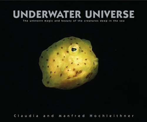 Stock image for Underwater Universe: The Unknown Magic and Beauty of the Creatures Deep in the Sea for sale by medimops