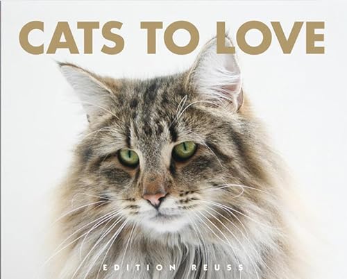 Stock image for Cats to Love for sale by medimops