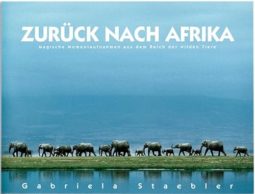 Stock image for Zurck nach Afrika: Magische Momentaufnahmen aus dem Reich der wilden Tiere for sale by medimops
