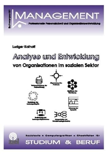 Imagen de archivo de Analyse und Entwicklung von Organisationen im sozialen Sektor a la venta por medimops