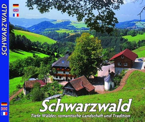 Imagen de archivo de Schwarzwald im Farbbild. a la venta por HPB-Emerald