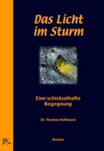 Stock image for Das Licht im Sturm - eine schicksalhafte Begegnung for sale by Storisende Versandbuchhandlung