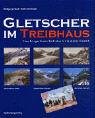 Gletscher im Treibhaus: Eine fotografische Zeitreise in die alpine Eiszeit - Zängl, Wolfgang, Hamberger, Sylvia