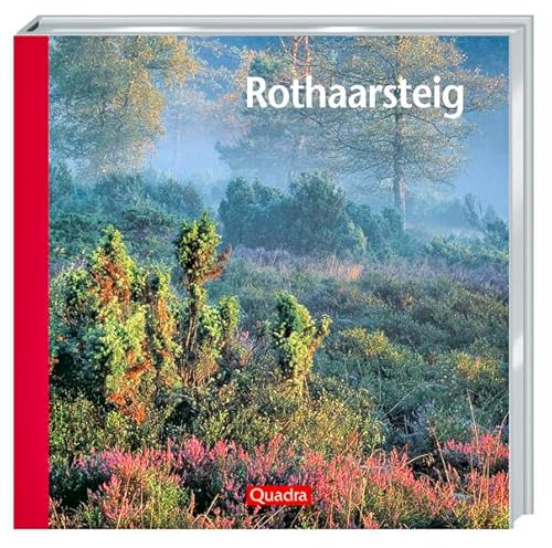 Stock image for Rothaarsteig: Ein sinnliches Vergngen for sale by medimops