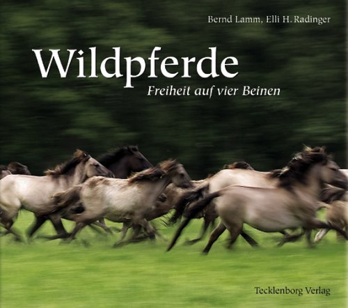 Imagen de archivo de Wildpferde: Freiheit auf vier Beinen a la venta por medimops