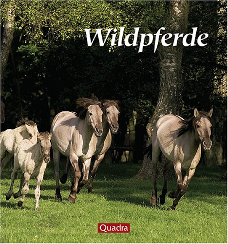 Imagen de archivo de Wildpferde. Freiheit auf vier Beinen a la venta por medimops