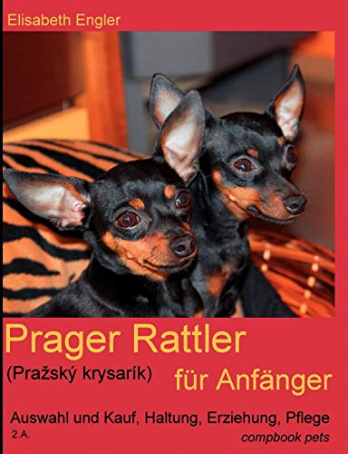 Stock image for Prager Rattler (Prask krysark) fr Anfnger. Auswahl und Kauf, Erziehung, Haltung, Pflege for sale by medimops