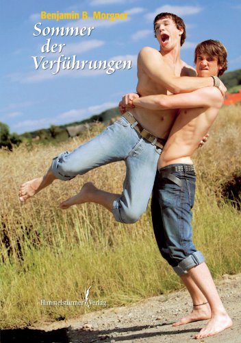 Imagen de archivo de Sommer der Verfhrungen: Ein homoerotischer Roman a la venta por medimops