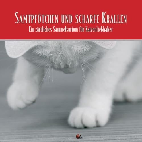 9783934887480: Samtpftchen und scharfe Krallen. 2 CDs . Ein zrtliches Sammelsurium fr alle Katzenliebhaber